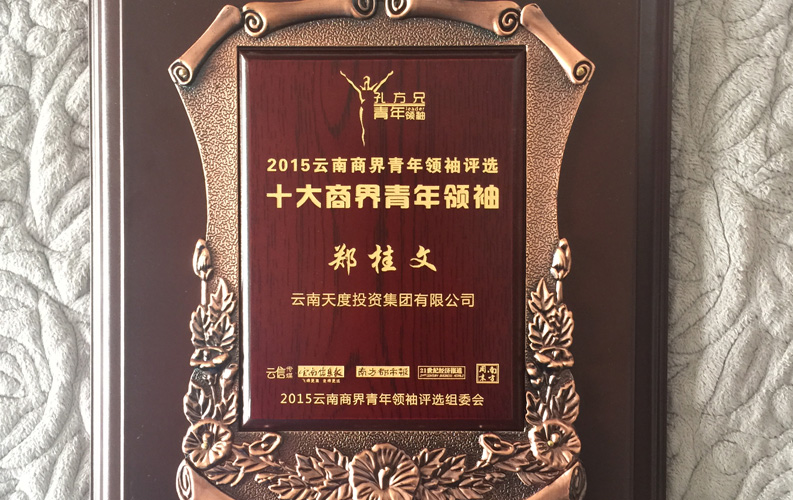 在“互聯(lián)網(wǎng)大時(shí)代”的背景下，天度作為本土很大和很有名的互聯(lián)網(wǎng)服務(wù)企業(yè)，為近萬家傳統(tǒng)企業(yè)轉(zhuǎn)型互聯(lián)網(wǎng)+提供了服務(wù)和幫助，獲此獎(jiǎng)項(xiàng)后，我們將再接再厲，創(chuàng)造更高的社會(huì)價(jià)值